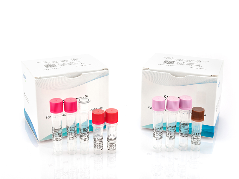 Residual Vero DNA Size Analysis Kit (2G)
