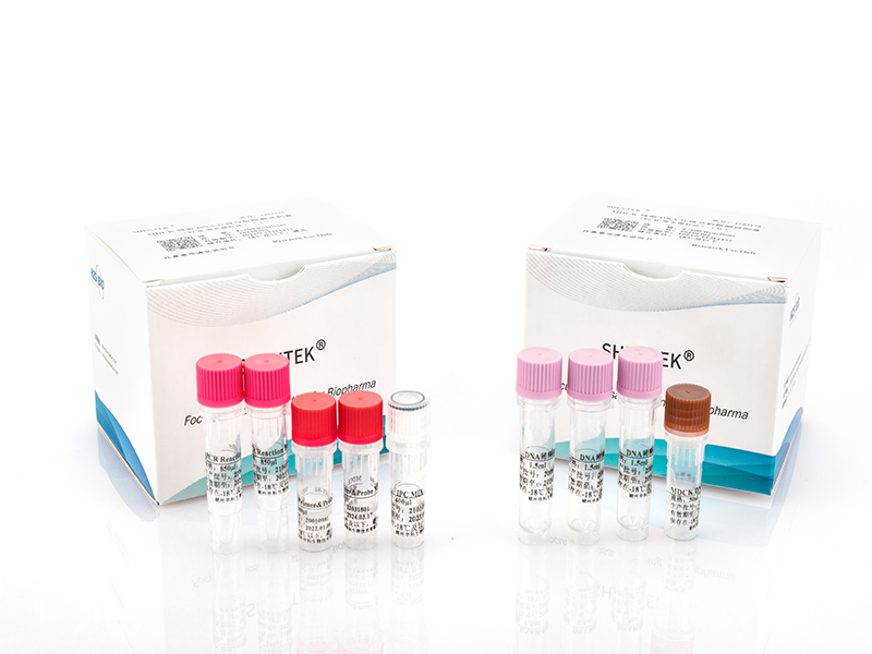 Residual MDCK DNA Size Analysis Kit