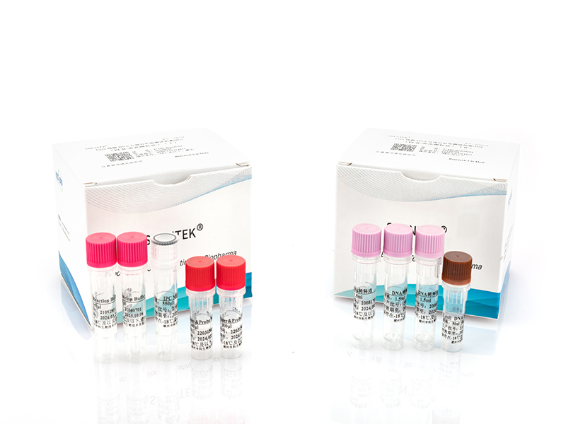 Residual HEK293 DNA Size Analysis Kit