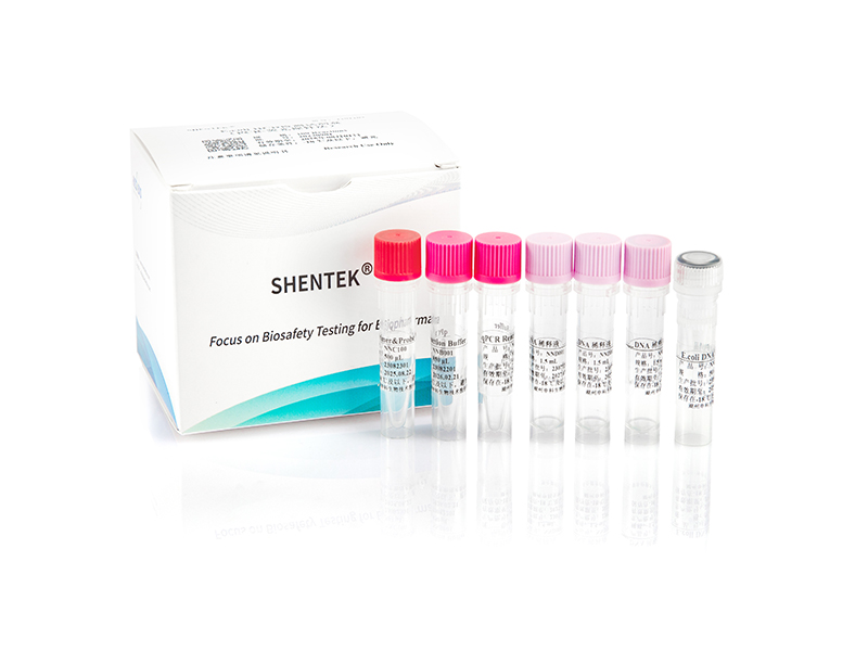 Residual E. coli DNA Quantitation Kit（2G）