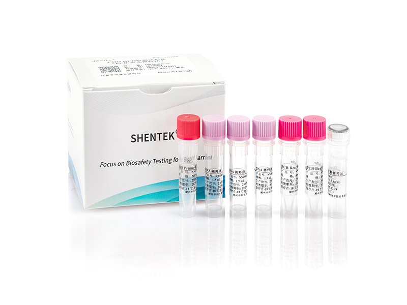 Residual CHO DNA Quantitation Kit（2G）