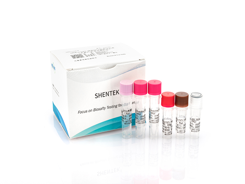 Residual Sf9 & AcNPV DNA Quantitation Kit