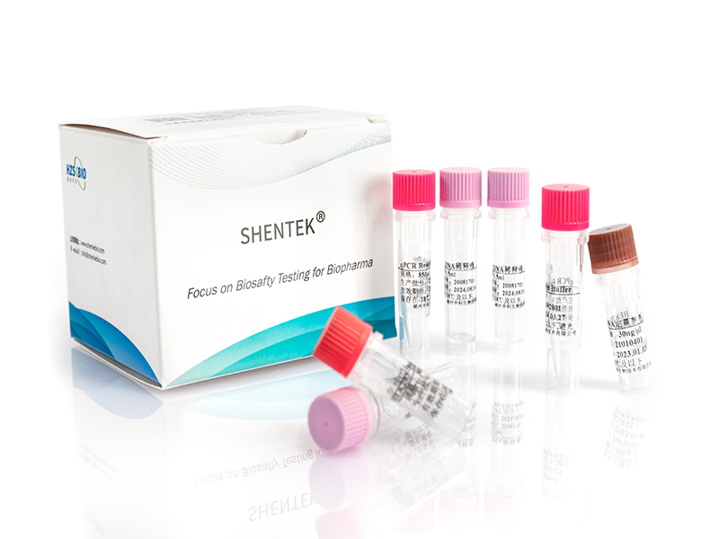 Residual HEK293 DNA Quantitation Kit（3G）