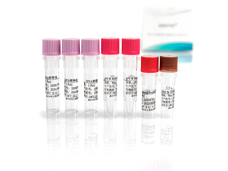 Residual MDCK DNA Quantitation Kit