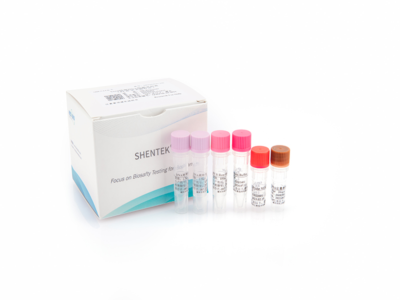 Residual Vero DNA Quantitation Kit
