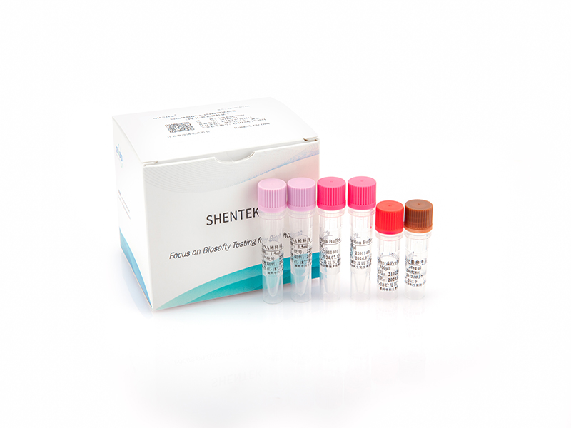 Residual Vero DNA-154 Quantitation Kit