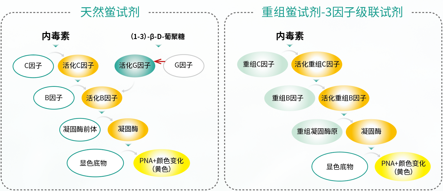 局部截取_20250820_100145.png